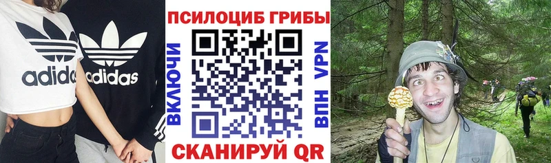 закладки  Павловск  МЕГА как войти  Псилоцибиновые грибы мухоморы 